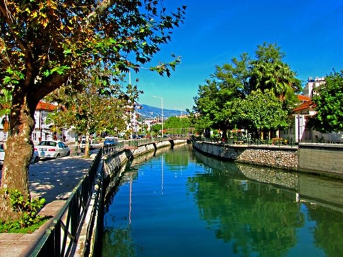 test